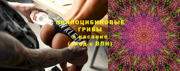 прущая мука Переславль-Залесский