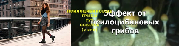 ешки Весьегонск