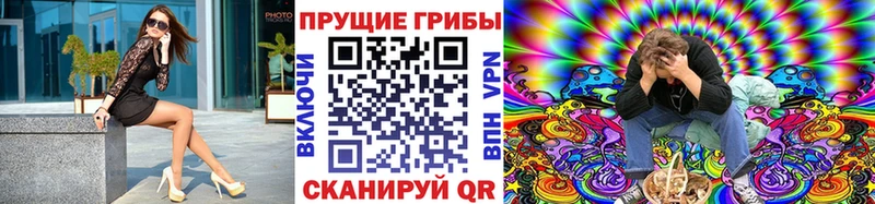 где можно купить наркотик  Белая Холуница  Галлюциногенные грибы MAGIC MUSHROOMS 